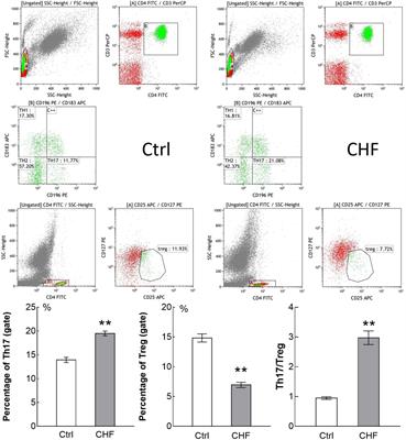 Eplerenone Reverses Cardiac Fibrosis via the Suppression of Tregs by Inhibition of Kv1.3 Channel